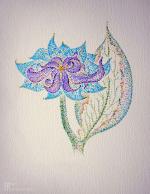 Violet Flower 2